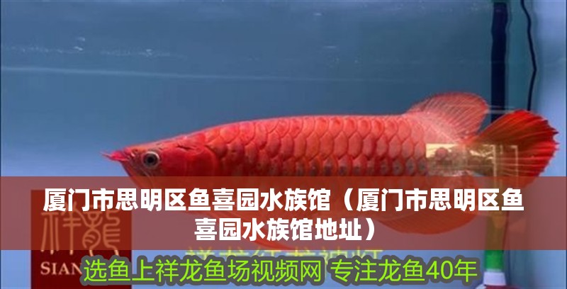 廈門市思明區魚喜園水族館(廈門市思明區魚喜園水族館地址) 全國水族館企業名錄 第1張 廈門市思明區魚喜園水族館(廈門市思明區魚喜園水族館地址) 廈門市思明區魚喜園水族館(廈門市思明區魚喜園水族館地址) 全國水族館企業名錄 第1張