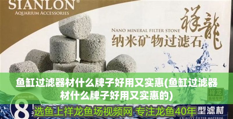 魚缸過濾器材什么牌子好用又實惠(魚缸過濾器材什么牌子好用又實惠的)
