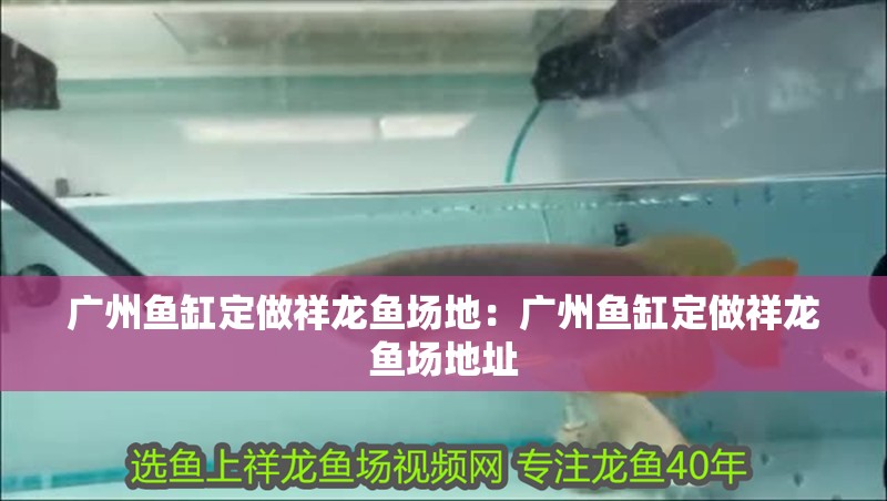 廣州魚(yú)缸定做祥龍魚(yú)場(chǎng)地：廣州魚(yú)缸定做祥龍魚(yú)場(chǎng)地址