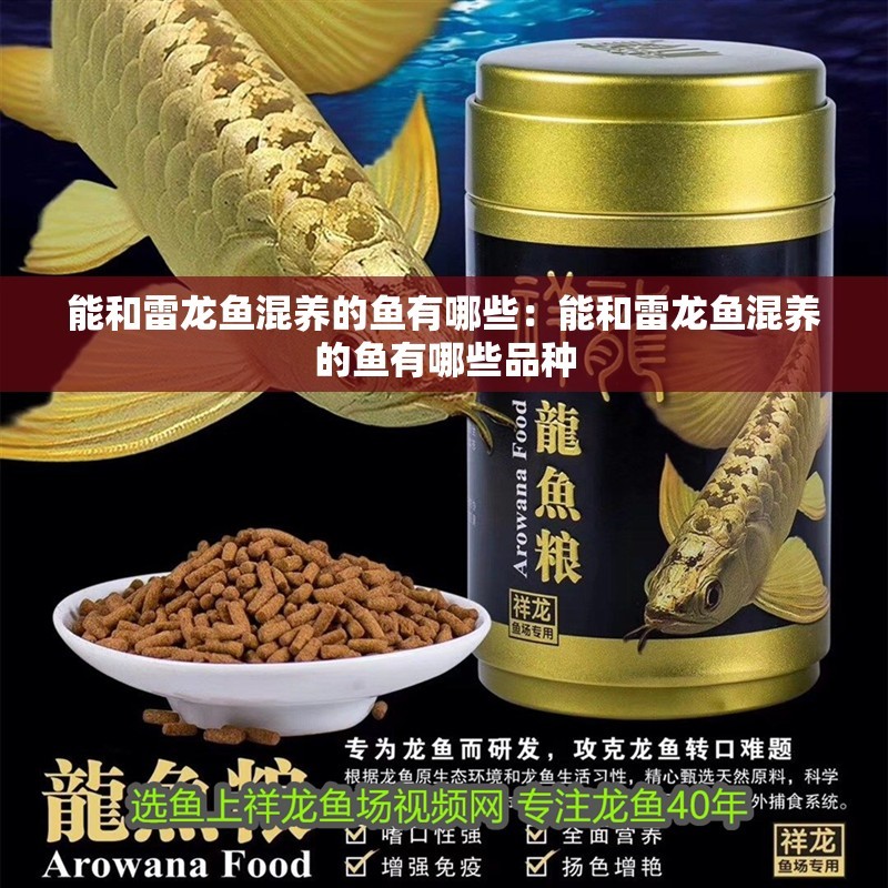 能和雷龍魚混養的魚有哪些：能和雷龍魚混養的魚有哪些品種