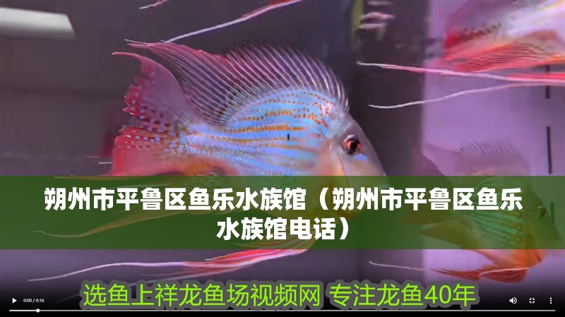 朔州市平魯區(qū)魚樂水族館（朔州市平魯區(qū)魚樂水族館電話）