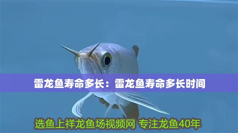 雷龍魚壽命多長：雷龍魚壽命多長時(shí)間