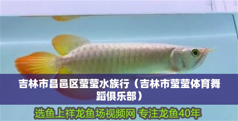 吉林市昌邑區瑩瑩水族行（吉林市瑩瑩體育舞蹈俱樂部）