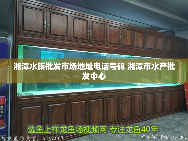 湘潭水族批發市場地址電話號碼 湘潭市水產批發中心