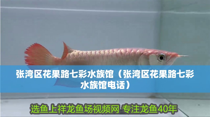 張灣區花果路七彩水族館（張灣區花果路七彩水族館電話）