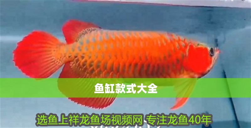 魚缸款式大全