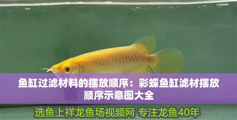 魚缸過濾材料的擺放順序：彩蝶魚缸濾材擺放順序示意圖大全