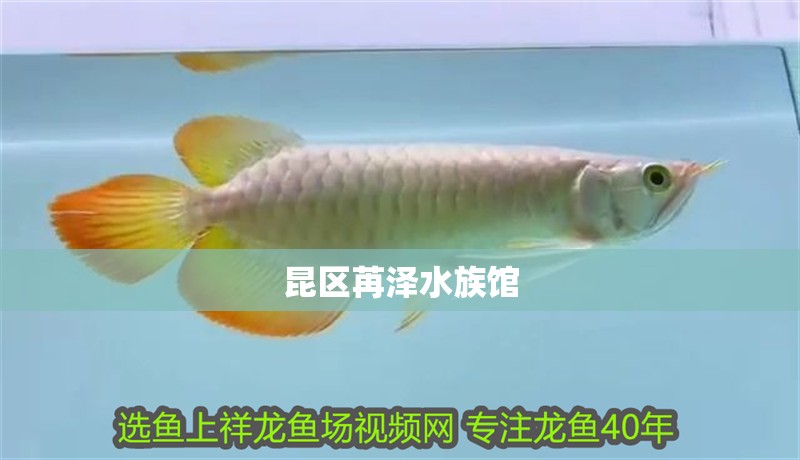 昆區(qū)苒澤水族館
