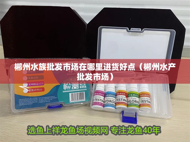 郴州水族批發市場在哪里進貨好點（郴州水產批發市場）