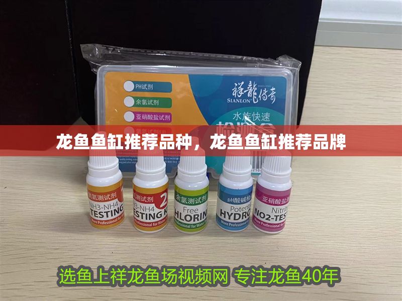 龍魚魚缸推薦品種，龍魚魚缸推薦品牌