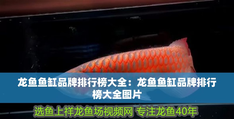 龍魚魚缸品牌排行榜大全：龍魚魚缸品牌排行榜大全圖片
