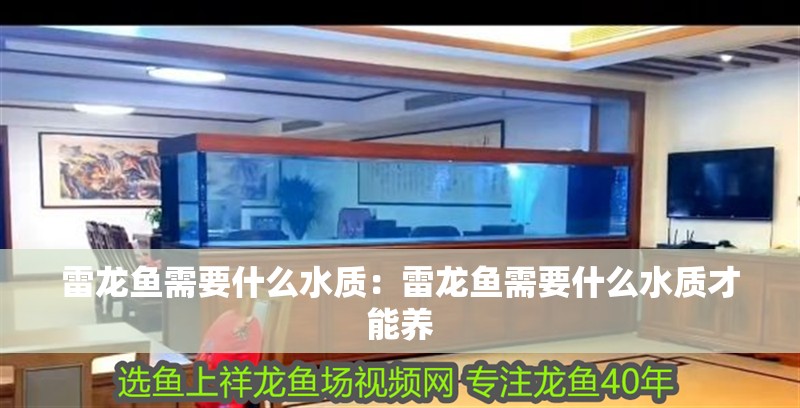 雷龍魚需要什么水質：雷龍魚需要什么水質才能養
