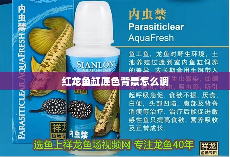 紅龍魚缸底色背景怎么調(diào)