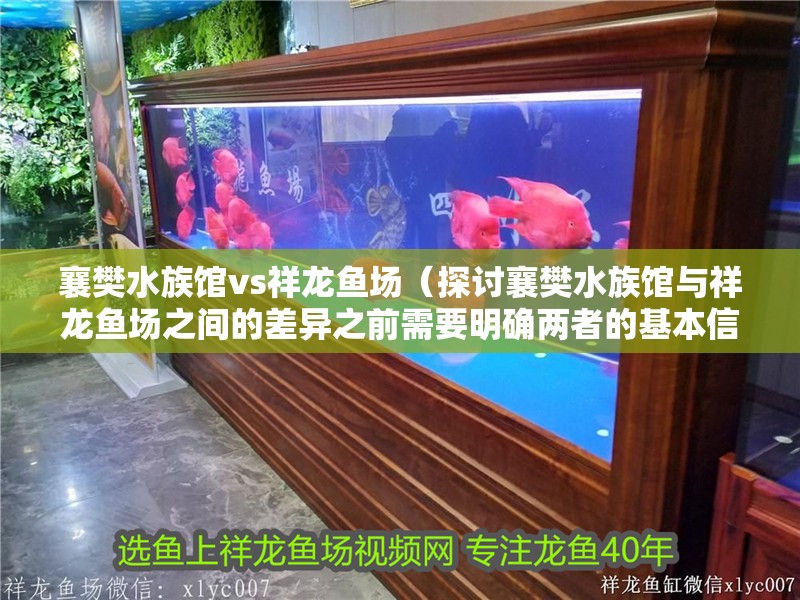 襄樊水族館vs祥龍魚場（探討襄樊水族館與祥龍魚場之間的差異之前需要明確兩者的基本信息）