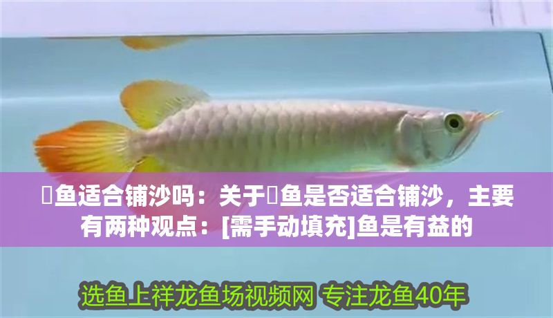 魟魚適合鋪沙嗎：關(guān)于魟魚是否適合鋪沙，主要有兩種觀點(diǎn)：[需手動填充]魚是有益的