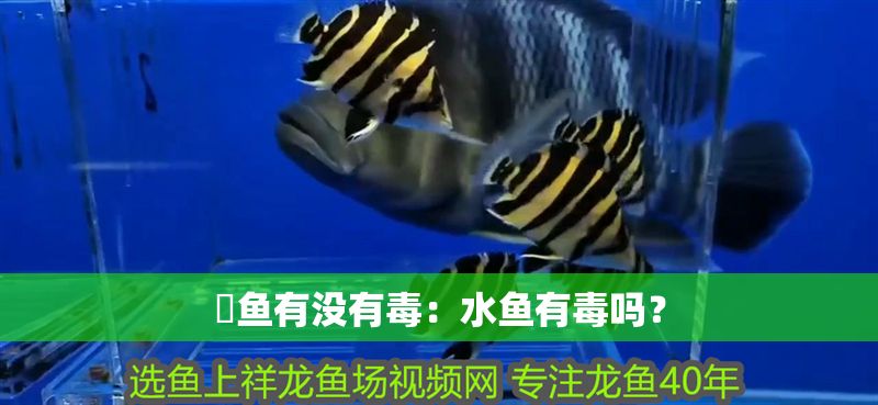 魟魚有沒有毒：水魚有毒嗎？