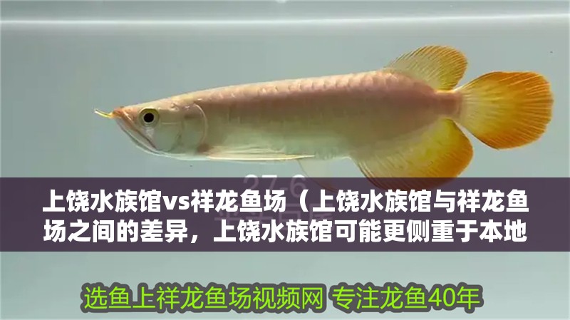 上饒水族館vs祥龍魚場(chǎng)（上饒水族館與祥龍魚場(chǎng)之間的差異，上饒水族館可能更側(cè)重于本地市場(chǎng)）
