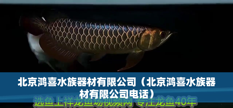 北京鴻喜水族器材有限公司（北京鴻喜水族器材有限公司電話）