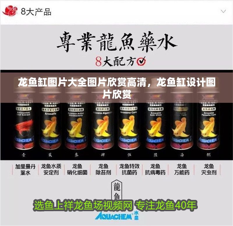 龍魚缸圖片大全圖片欣賞高清，龍魚缸設計圖片欣賞