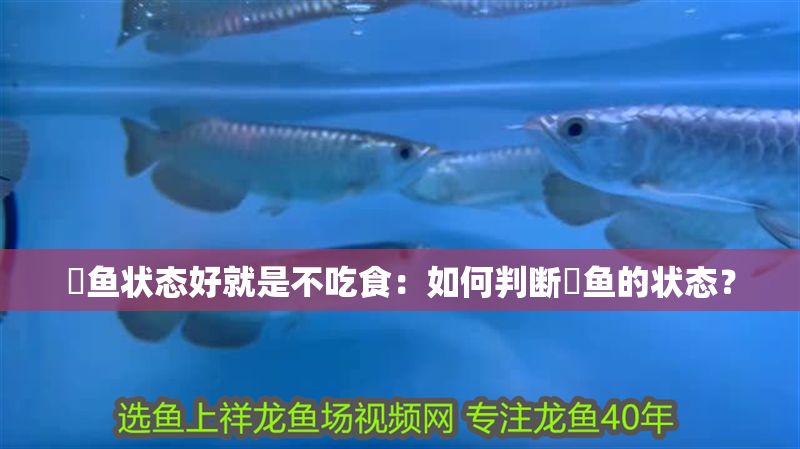 魟魚狀態好就是不吃食：如何判斷魟魚的狀態？