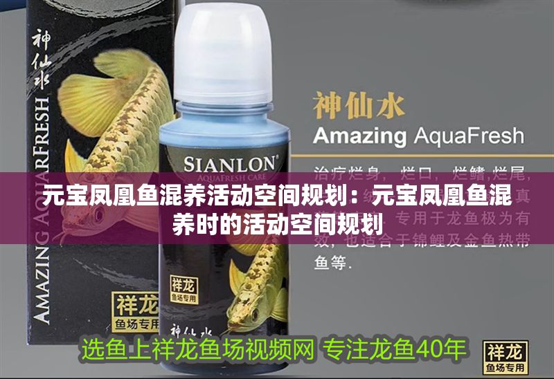 元寶鳳凰魚混養(yǎng)活動(dòng)空間規(guī)劃：元寶鳳凰魚混養(yǎng)時(shí)的活動(dòng)空間規(guī)劃