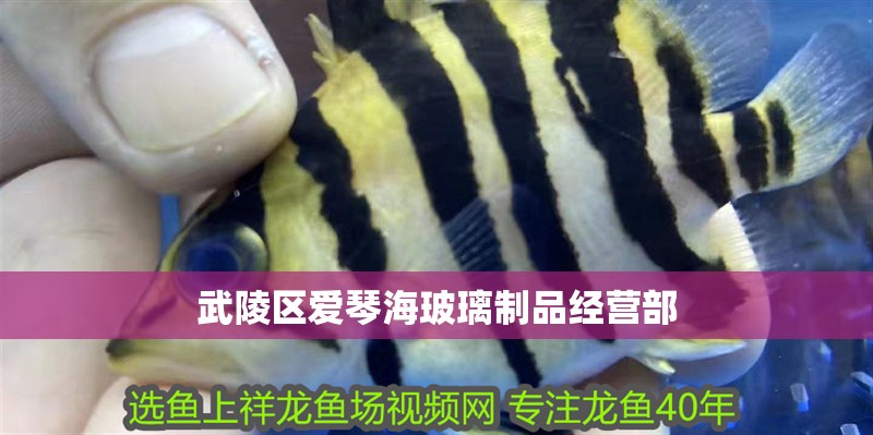 武陵區愛琴海玻璃制品經營部