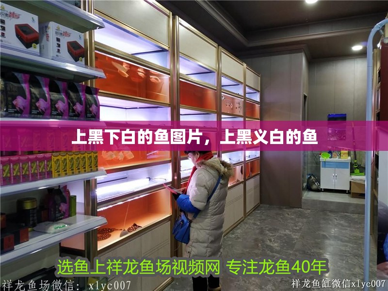 上黑下白的魚圖片，上黑義白的魚