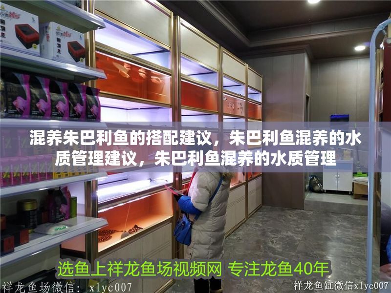 混養朱巴利魚的搭配建議，朱巴利魚混養的水質管理建議，朱巴利魚混養的水質管理