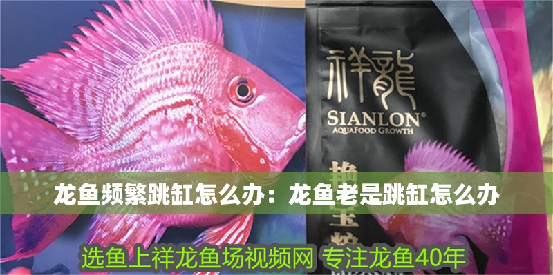 龍魚頻繁跳缸怎么辦：龍魚老是跳缸怎么辦