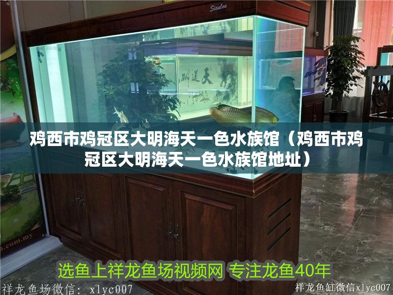 雞西市雞冠區(qū)大明海天一色水族館(雞西市雞冠區(qū)大明海天一色水族館地址) 全國水族館企業(yè)名錄 第1張 雞西市雞冠區(qū)大明海天一色水族館(雞西市雞冠區(qū)大明海天一色水族館地址) 雞西市雞冠區(qū)大明海天一色水族館(雞西市雞冠區(qū)大明海天一色水族館地址) 全國水族館企業(yè)名錄 第1張
