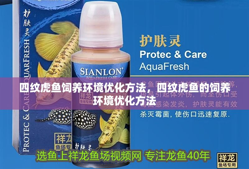 四紋虎魚飼養(yǎng)環(huán)境優(yōu)化方法,四紋虎魚的飼養(yǎng)環(huán)境優(yōu)化方法 虎魚百科 第1張 四紋虎魚飼養(yǎng)環(huán)境優(yōu)化方法,四紋虎魚的飼養(yǎng)環(huán)境優(yōu)化方法 四紋虎魚飼養(yǎng)環(huán)境優(yōu)化方法,四紋虎魚的飼養(yǎng)環(huán)境優(yōu)化方法 虎魚百科 第1張