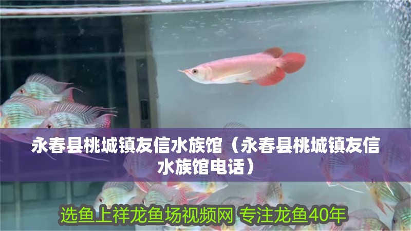 永春縣桃城鎮友信水族館（永春縣桃城鎮友信水族館電話）
