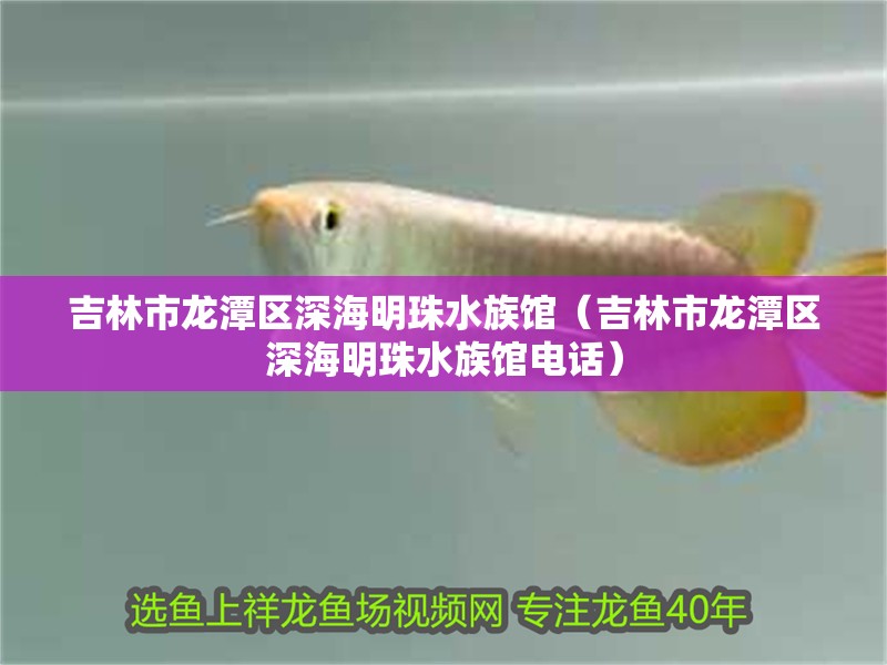 吉林市龍潭區深海明珠水族館（吉林市龍潭區深海明珠水族館電話）