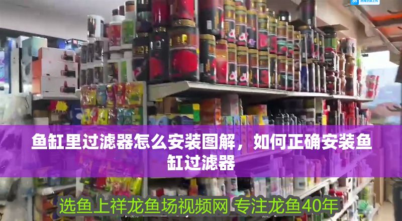 魚缸里過濾器怎么安裝圖解，如何正確安裝魚缸過濾器