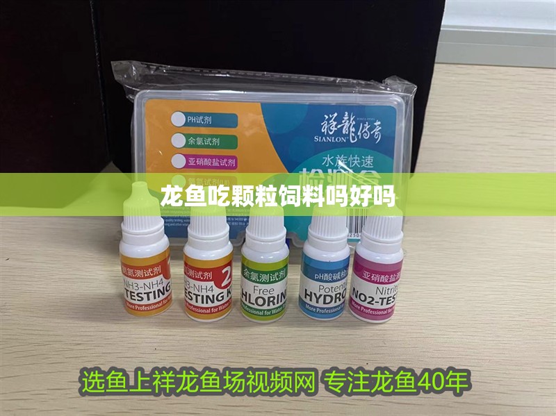 龍魚吃顆粒飼料嗎好嗎