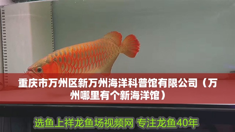 重慶市萬州區(qū)新萬州海洋科普館有限公司（萬州哪里有個(gè)新海洋館）