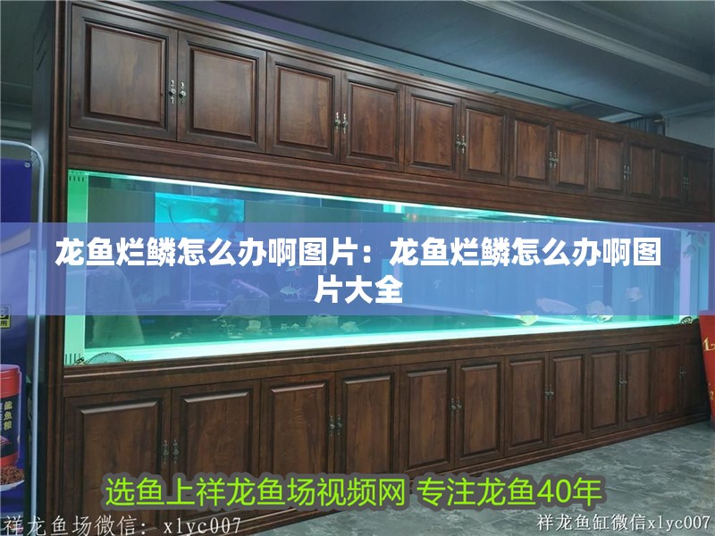 龍魚爛鱗怎么辦啊圖片：龍魚爛鱗怎么辦啊圖片大全