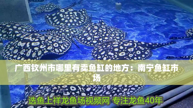 廣西欽州市哪里有賣魚缸的地方：南寧魚缸市場
