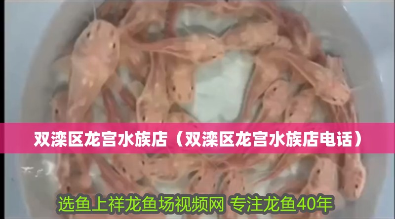雙灤區(qū)龍宮水族店（雙灤區(qū)龍宮水族店電話）