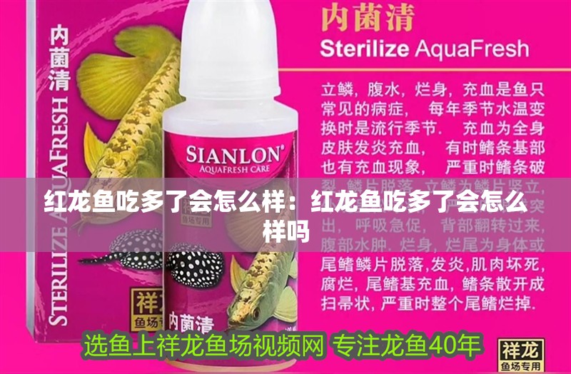 紅龍魚吃多了會怎么樣：紅龍魚吃多了會怎么樣嗎