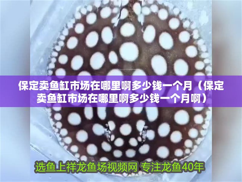 保定賣魚缸市場在哪里啊多少錢一個月（保定賣魚缸市場在哪里啊多少錢一個月?。? title=