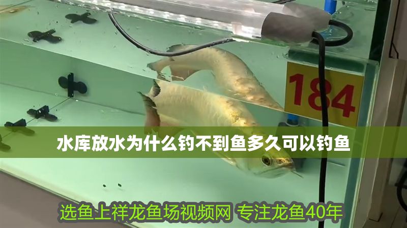 水庫放水為什么釣不到魚多久可以釣魚