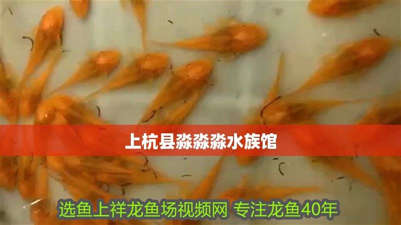 上杭縣淼淼淼水族館