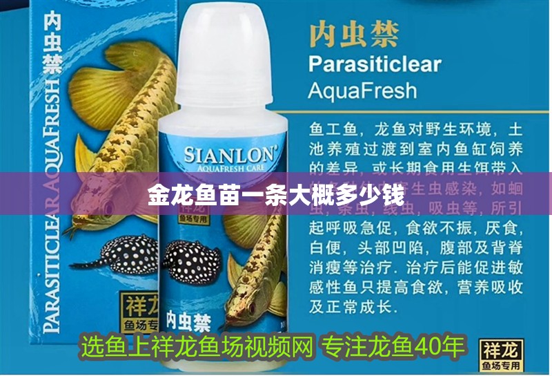 金龍魚苗一條大概多少錢