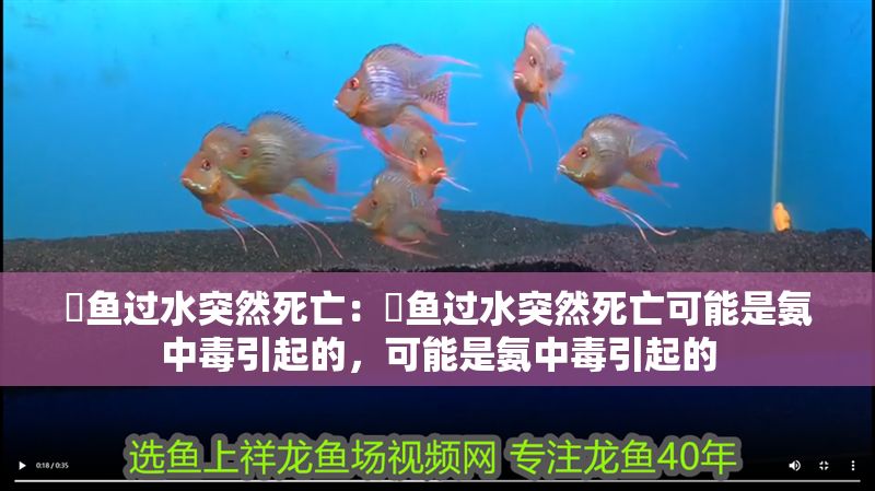 魟魚過水突然死亡：魟魚過水突然死亡可能是氨中毒引起的，可能是氨中毒引起的