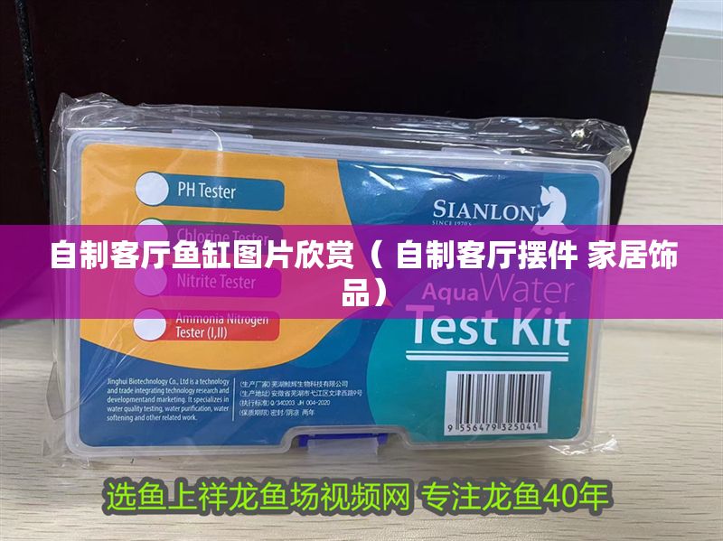 自制客廳魚缸圖片欣賞（ 自制客廳擺件 家居飾品）