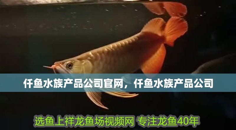 仟魚水族產(chǎn)品公司官網(wǎng)，仟魚水族產(chǎn)品公司