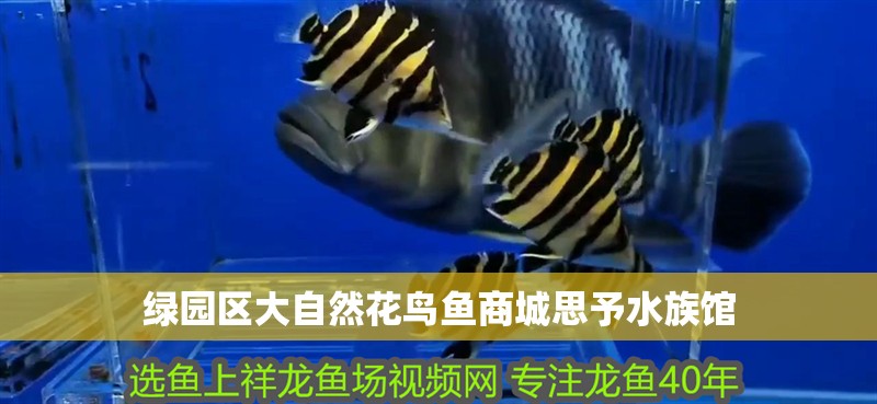 綠園區(qū)大自然花鳥魚商城思予水族館
