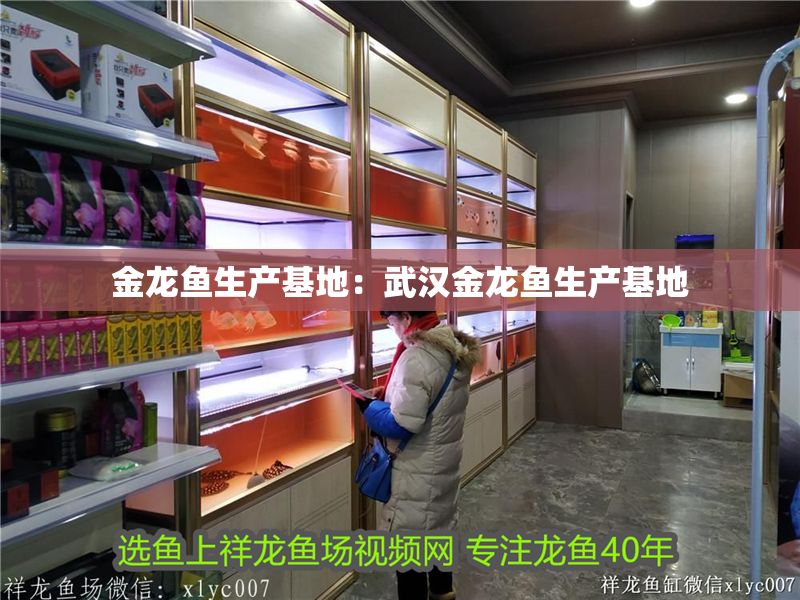 金龍魚生產(chǎn)基地：武漢金龍魚生產(chǎn)基地