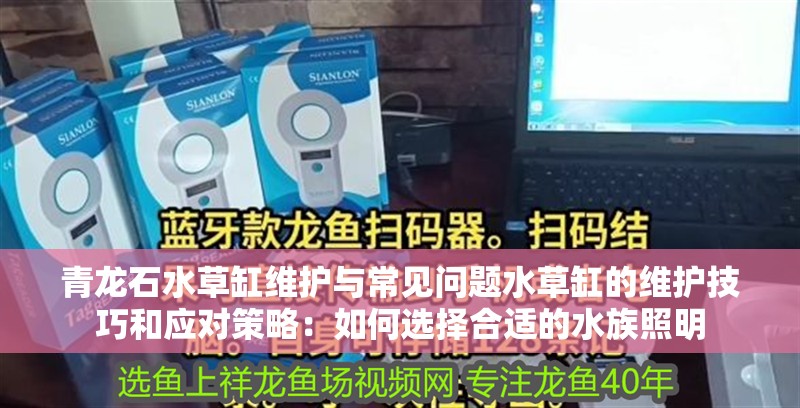 青龍石水草缸維護與常見問題水草缸的維護技巧和應(yīng)對策略：如何選擇合適的水族照明